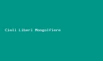 Logo Cieli Liberi Mongolfiere